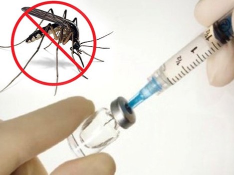 Chó mèo bị sốt xuất huyết: Hiểu đúng bệnh và cách phòng ngừa hiệu quả