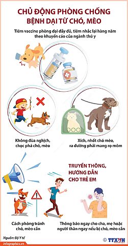 Gần chó mèo có thể mắc bệnh gì ở người