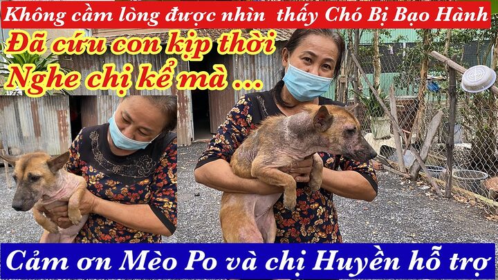 Bạo hành động vật: Vấn đề nhức nhối và giải pháp