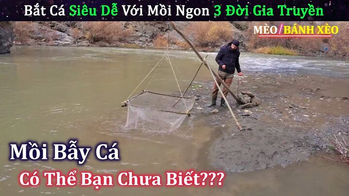 Hiểu Rõ Về Mồi Bẫy Mèo Rừng Và Giải Pháp Nhân Đạo