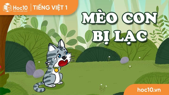 Mèo Bị Lạc Có Về Không? Khả Năng Mèo Trở Về