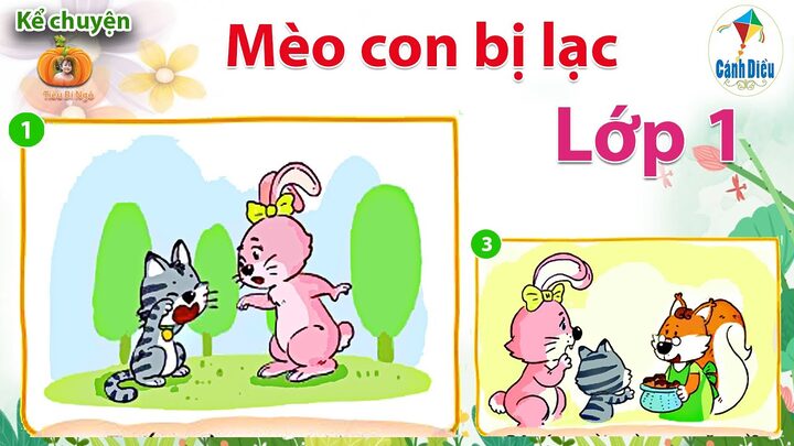 Mèo Bị Lạc Có Về Không? Khả Năng Mèo Trở Về