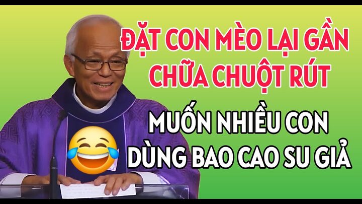 Mèo bị chuột rút: Nguyên nhân, dấu hiệu và cách xử lý