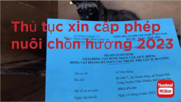 Hướng dẫn xin giấy phép nuôi mèo rừng tại Việt Nam