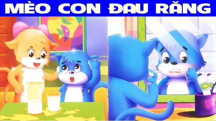 Mèo bị đau răng: Dấu hiệu, nguyên nhân & cách xử lý