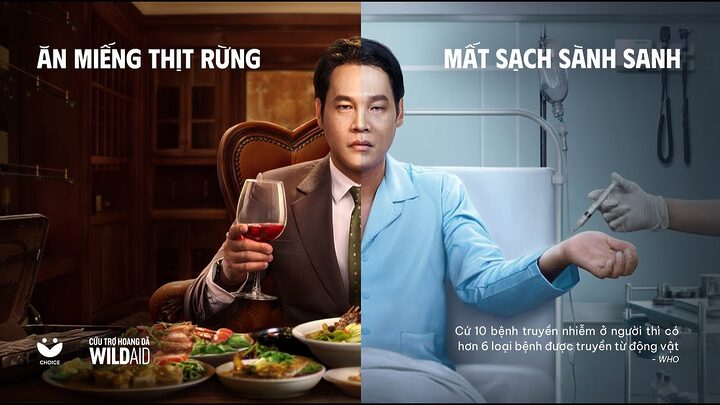 Giá Thịt Mèo Rừng: Sự Thật Đáng Báo Động Và Nguy Cơ