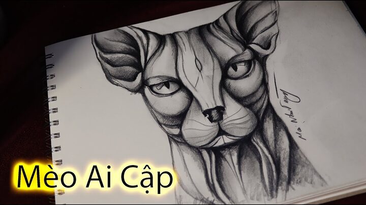 Con Mèo Ai Cập: Bí Mật Xác Ướp Cổ Đại