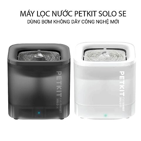 [Review Chi Tiết] Máy Lọc Nước Cho Mèo PETKIT Eversweet Solo SE: Có Thực Sự "Đáng Đồng Tiền Bát Gạo"?