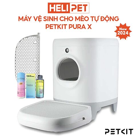 Mèo Bị Rỉ Phân: Nguyên Nhân, Dấu Hiệu Và Cách Xử Lý Hiệu Quả