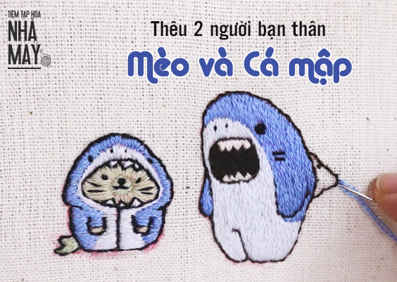 Mèo Bị Cá Mập Ăn Thịt: Thực Hư Câu Chuyện Và Những Hiểm Nguy Thực Sự