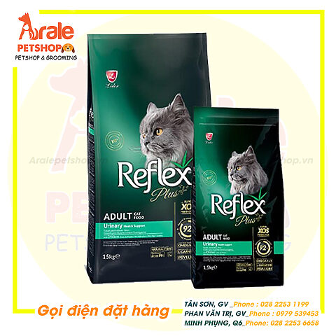 Hạt Cho Mèo Bị Thận: Chế Độ Dinh Dưỡng Tối Ưu