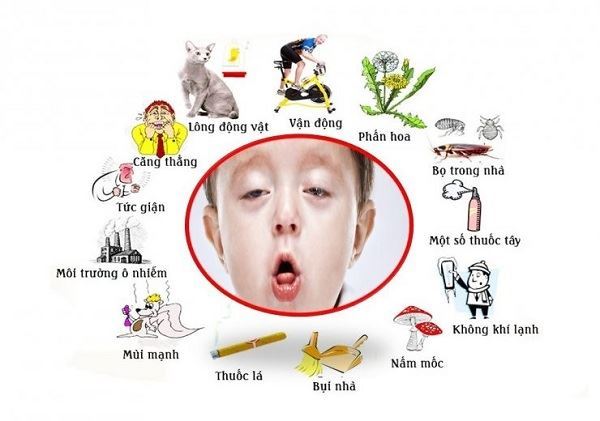 Trẻ Gần Mèo Bị Hen Suyễn: Hiểu Rõ Nguyên Nhân và Giải Pháp