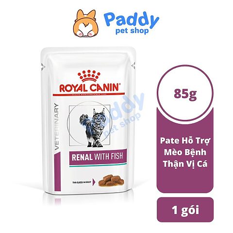 Pate cho Mèo Bị Thận: Lựa Chọn Tối Ưu Sức Khỏe