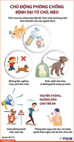 Chó Mèo Bị Phon Đòn Gánh: Giải Mã Triệu Chứng Bất Thường