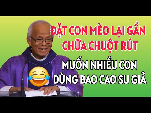 Mèo bị chuột rút: Nguyên nhân, dấu hiệu và cách xử lý
