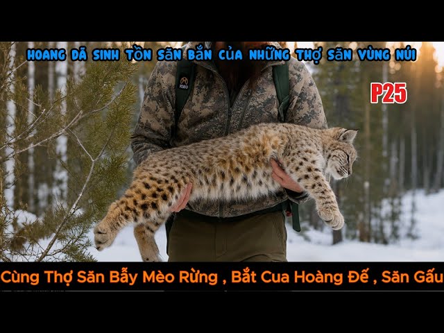 Võ của mèo rừng và nghệ thuật sinh tồn