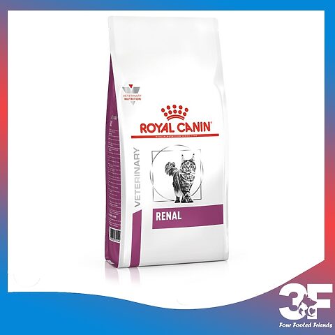 Hạt Cho Mèo Bị Thận: Chế Độ Dinh Dưỡng Tối Ưu