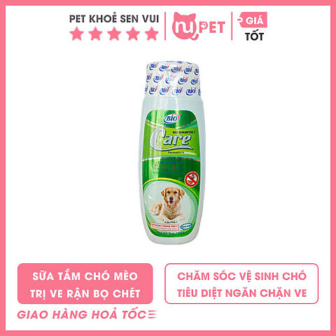 Hướng Dẫn Chi Tiết Tắm Cho Mèo Bị Bọ Chét Đúng Cách, An Toàn