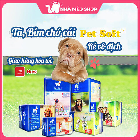 Tã chó mèo bị liệt: Giải pháp và Hướng dẫn chăm sóc chi tiết