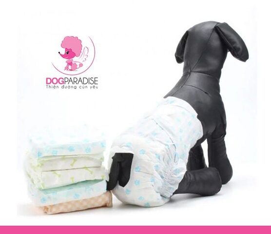 Tã chó mèo bị liệt: Giải pháp và Hướng dẫn chăm sóc chi tiết