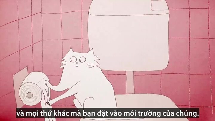 Giải mã "trò mèo bị ám": Hành vi kỳ lạ ở mèo