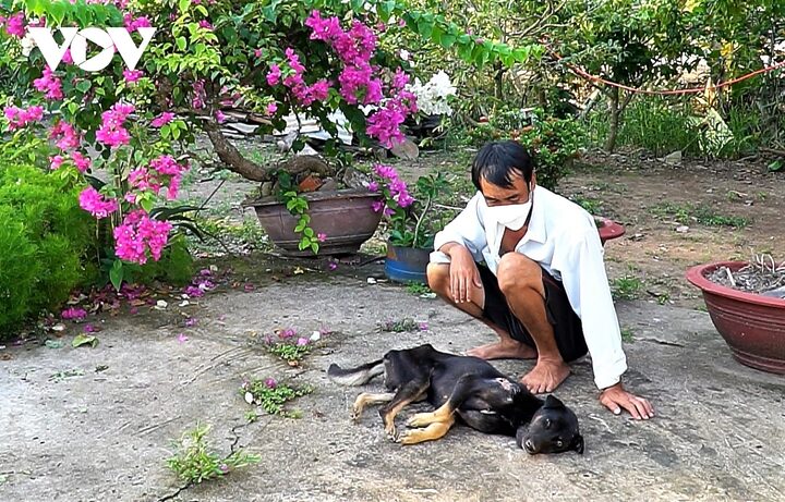 Trộm mèo bị đánh chết: Hệ lụy pháp lý và xã hội