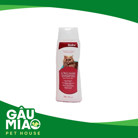 Sữa tắm cho mèo Anh lông dài: Bí quyết chọn phù hợp