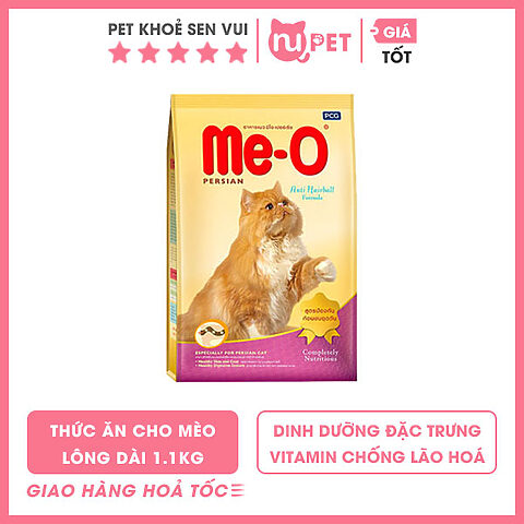 Thức Ăn Mèo Anh Lông Dài: Hướng Dẫn Chi Tiết Từ Chuyên Gia
