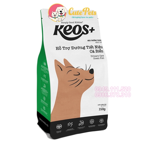 Thức Ăn Royal Canin Cho Mèo Bị Thận: Chuyên Sâu