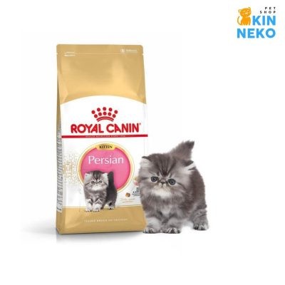 thức ăn royal canin persian kitten hỗ trợ lông