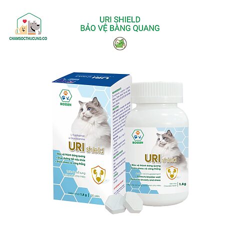 Thức ăn cho mèo bị sạn bàng quang: Hướng dẫn chi tiết