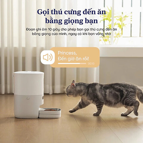 Chó Mèo Bị Mất Giọng: Nguyên Nhân Và Cách Xử Lý
