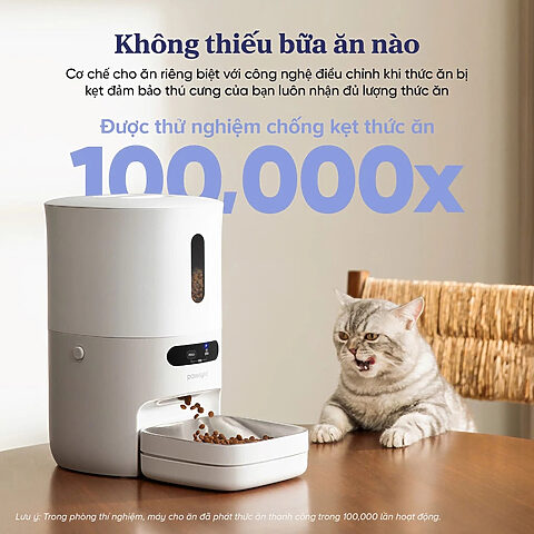 Sự thật đau lòng về chú mèo bị thí nghiệm