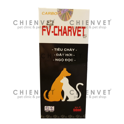 Các loại thuốc cho mèo bị tiêu chảy và cách dùng an toàn