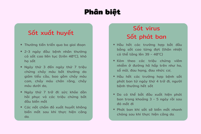 Chó mèo bị sốt xuất huyết: Hiểu đúng bệnh và cách phòng ngừa hiệu quả