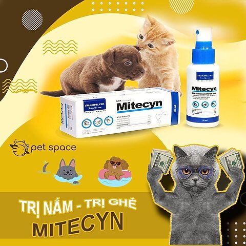 Thuốc Trị Mèo Bị Ghẻ Pet Mart & Giải Pháp Toàn Diện