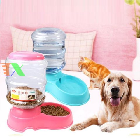 Khay Thức Ăn Cho Chó: Hướng Dẫn Chọn Lựa & Tối Ưu Sức Khỏe