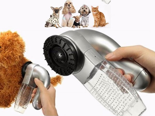 Máy Hút Lông Chó Cầm Tay: Giải Pháp Toàn Diện Cho Thú Cưng