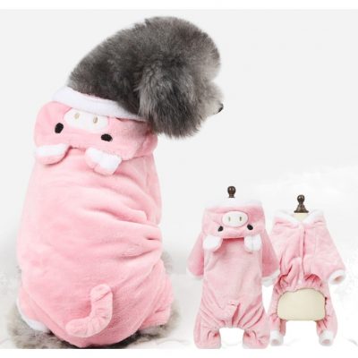 Quần Áo Cho Chó Poodle: Lựa Chọn Tối Ưu Cho Sức Khỏe Và Phong Cách