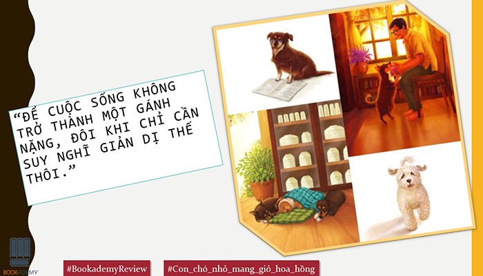 Review Sách Con Chó Nhỏ Mang Giỏ Hoa Hồng Chi Tiết Nhất