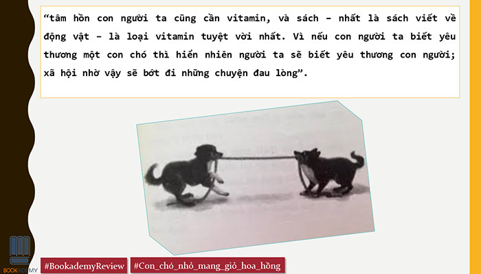 Review Sách Con Chó Nhỏ Mang Giỏ Hoa Hồng Chi Tiết Nhất