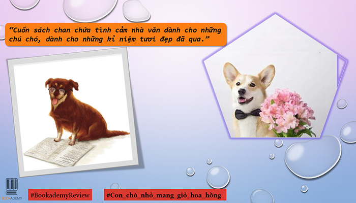 Review Sách Con Chó Nhỏ Mang Giỏ Hoa Hồng Chi Tiết Nhất