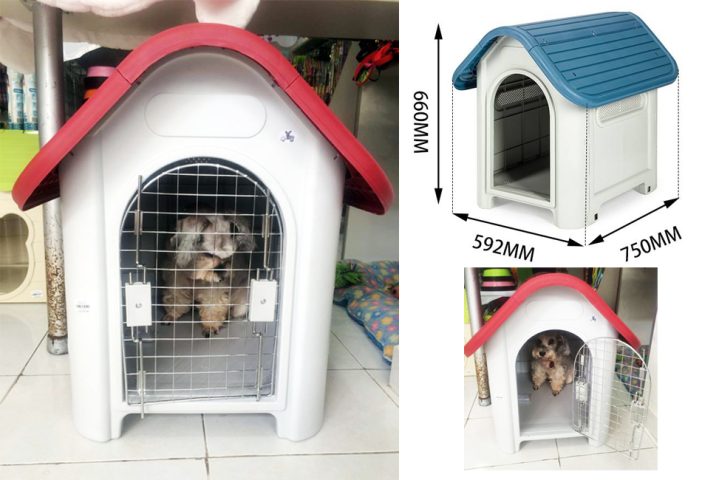 Nhà Chó Mèo Bằng Nhựa: Hướng Dẫn Chi Tiết Từ A-Z