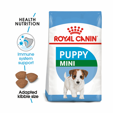 Thức Ăn Cho Chó Royal Canin Mini Junior: Dinh Dưỡng Chuẩn Vàng Thức Ăn Cho Chó Royal Canin Mini Junior: Dinh Dưỡng Chuẩn Vàng