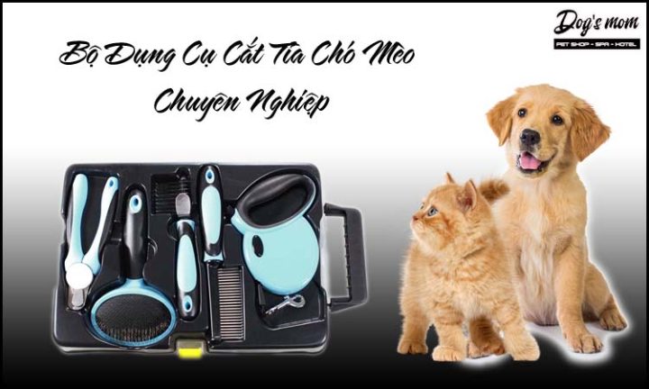 Dụng cụ cắt lông chó mèo: Hướng dẫn chọn và sử dụng hiệu quả