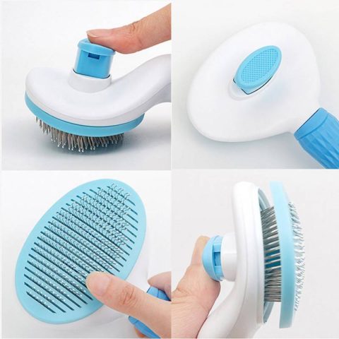 Lược chải lông cho chó: Hướng dẫn chọn và sử dụng hiệu quả