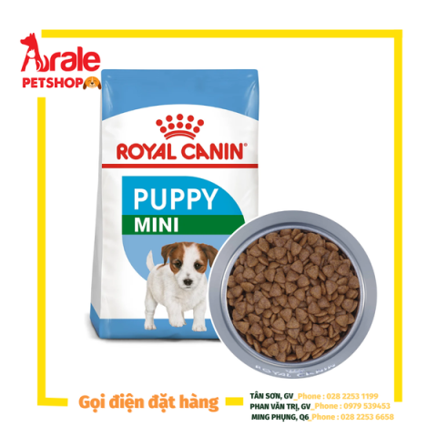 Thức Ăn Cho Chó Royal Canin Mini Junior: Dinh Dưỡng Chuẩn Vàng Thức Ăn Cho Chó Royal Canin Mini Junior: Dinh Dưỡng Chuẩn Vàng