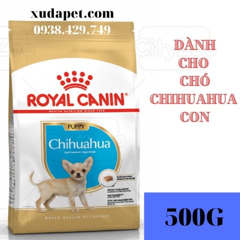 Thức Ăn Cho Chó Chihuahua: Hướng Dẫn Dinh Dưỡng Toàn Diện
