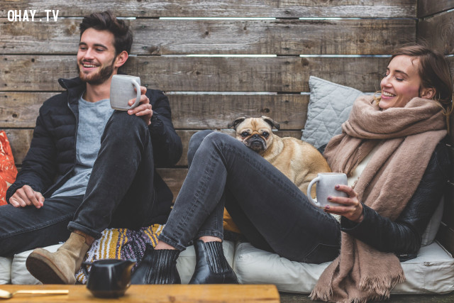 Danh Ngôn Hay Về Chó: Tình Bạn Vĩnh Cửu Từ Góc Nhìn Triết Lý