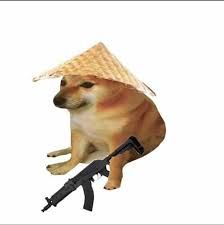 Tuyển Tập Ảnh Chó Shiba Hài Hước Nhất: Cười Thả Ga Với Biểu Cảm “Thần Sầu”